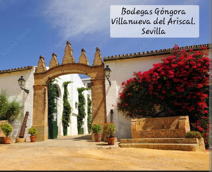 Casa Serena Villanueva del Ariscal 외부 사진